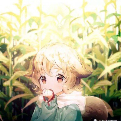 白宫晚宴枪手身份